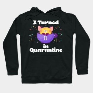 I Turned 11 In Quarantine Hoodie